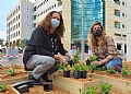 ט"ו בשבט וסגר – ב"הלל יפה" מצאו דרך מקורית לחגוג