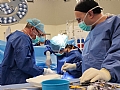Need surgery? Ministry of Health report shows significantly shorter waiting times at Hillel Yaffe
